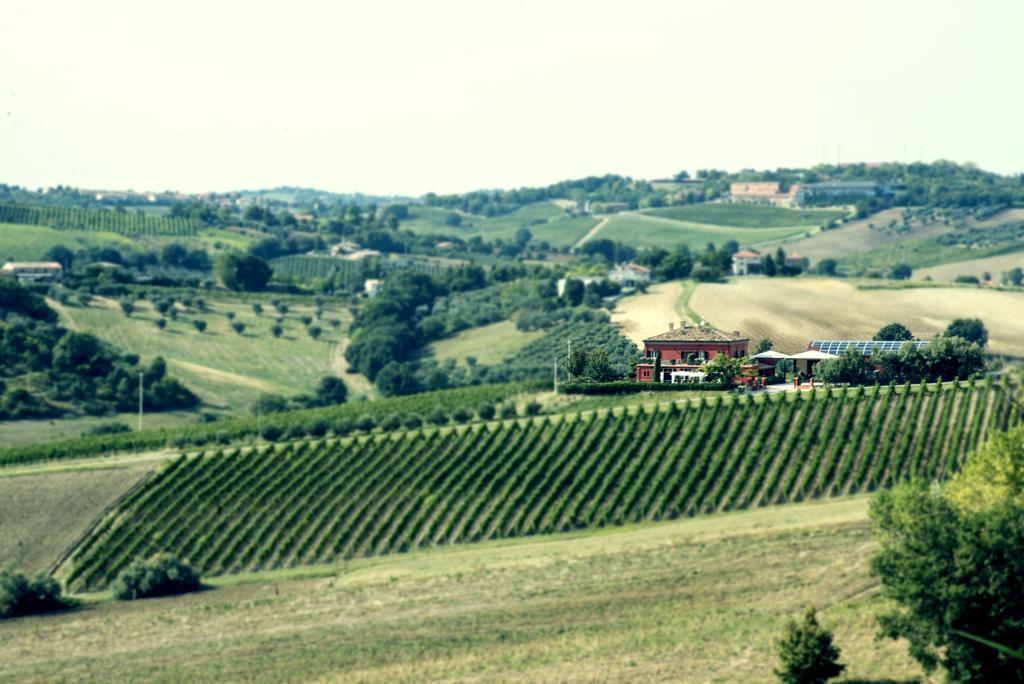 Tenuta Santini Villa Coriano Eksteriør bilde